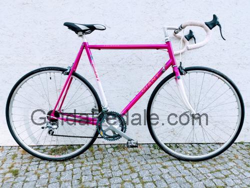 Giant Peloton scheda tecnica e recensioni